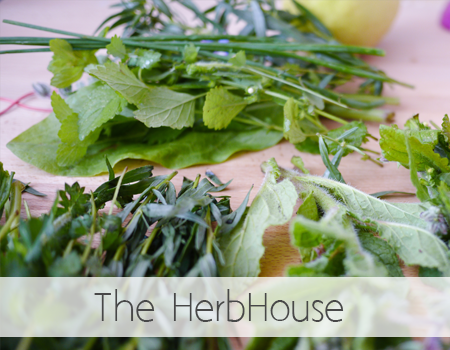 See The HerbHouse page